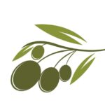 olio d39oliva modello icona logo vettoriale v18 392187 original