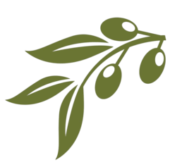pngtree olive logo template symbol vector fresh vector png image 38980444